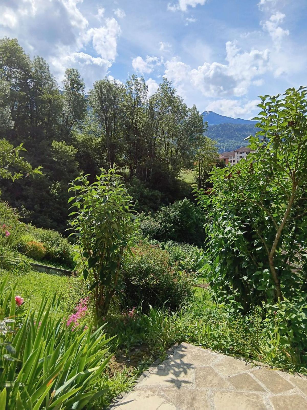 Appartement En Rez-De-Chaussee Avec Vues Sur Les Montagnes Ugine Exterior foto